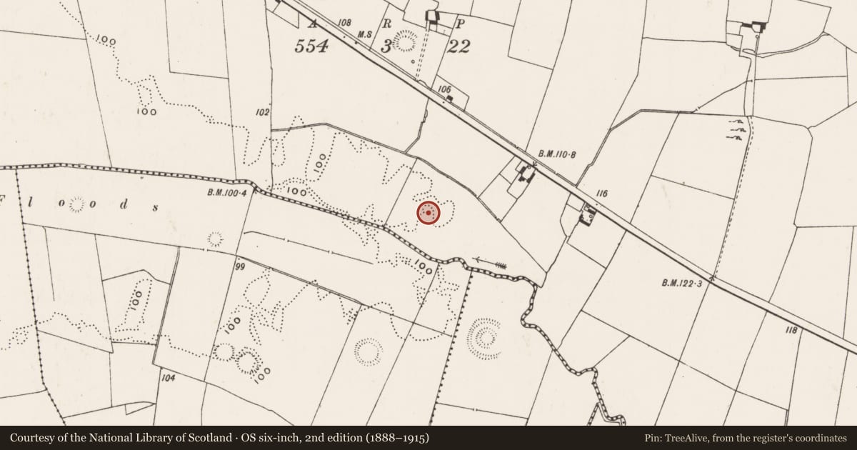 Ordnance Survey six-inch map, 2nd edition (1888–1915) covering the location of Road - road/trackway, Cloghnadromin, County Limerick, with a pin at the register's coordinates