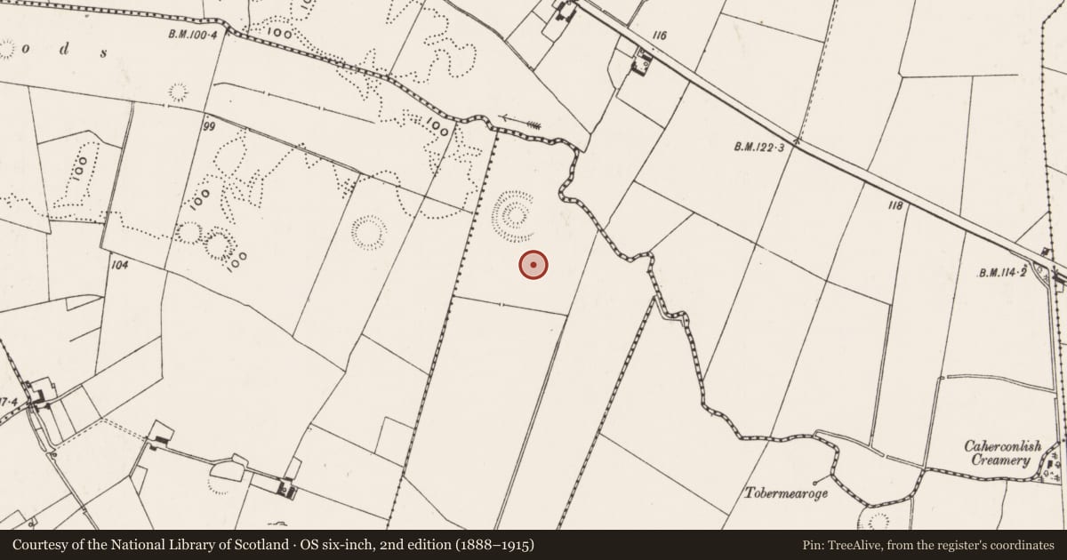 Ordnance Survey six-inch map, 2nd edition (1888–1915) covering the location of Barrow - ring-barrow, Hundredacres West, County Limerick, with a pin at the register's coordinates