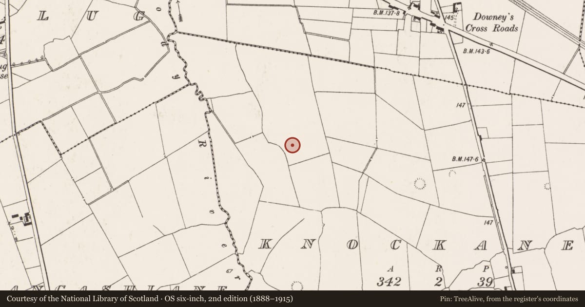 Ordnance Survey six-inch map, 2nd edition (1888–1915) covering the location of Ringfort - rath, Knockanea, County Limerick, with a pin at the register's coordinates