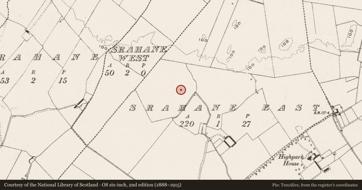 Ordnance Survey six-inch map, 2nd edition (1888–1915) covering the location of Earthwork, Srahane East, County Limerick, with a pin at the register's coordinates