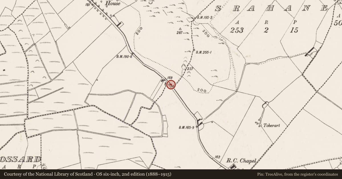 Ordnance Survey six-inch map, 2nd edition (1888–1915) covering the location of Boundary stone, Carrigparson, County Limerick, with a pin at the register's coordinates