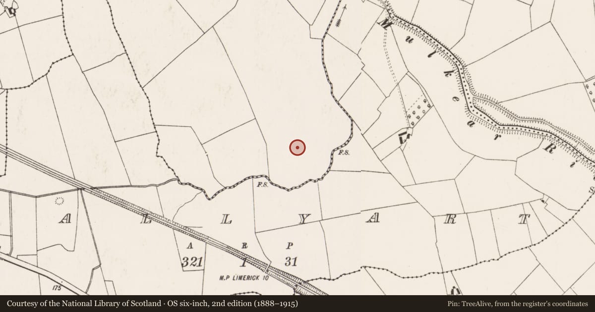 Ordnance Survey six-inch map, 2nd edition (1888–1915) covering the location of Earthwork, Brittas, County Limerick, with a pin at the register's coordinates