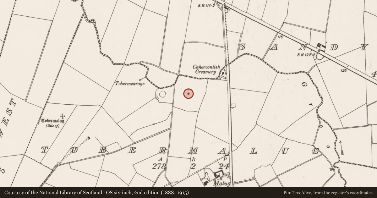 Ordnance Survey six-inch map, 2nd edition (1888–1915) covering the location of Ringfort - rath, Tobermalug, County Limerick, with a pin at the register's coordinates