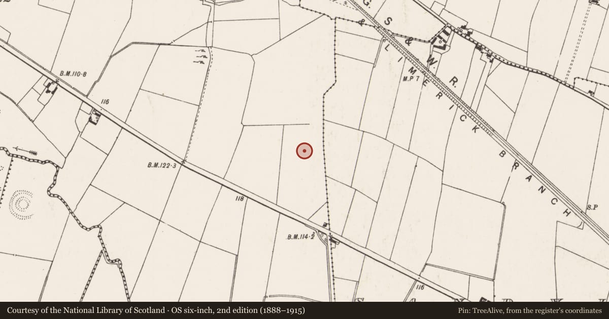 Ordnance Survey six-inch map, 2nd edition (1888–1915) covering the location of Earthwork, Cloghnadromin, County Limerick, with a pin at the register's coordinates