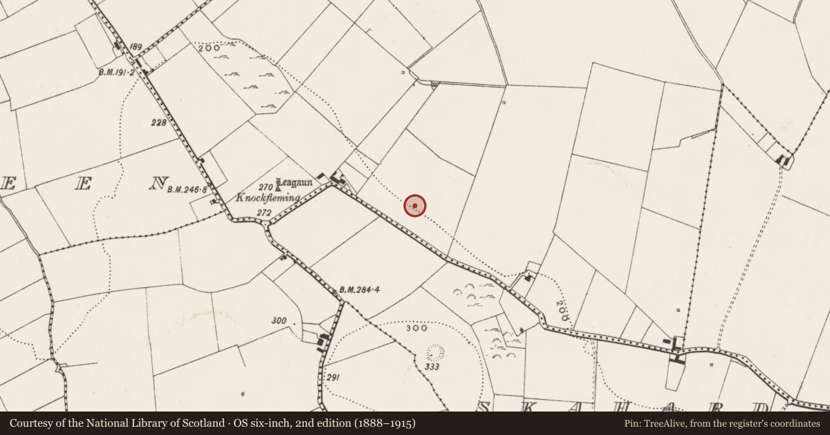 Ordnance Survey six-inch map, 2nd edition (1888–1915) covering the location of Standing stone, Highpark, County Limerick, with a pin at the register's coordinates