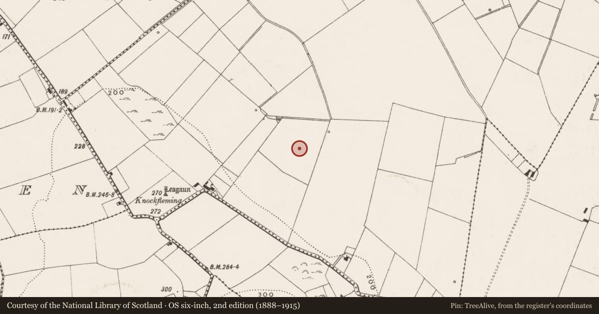 Ordnance Survey six-inch map, 2nd edition (1888–1915) covering the location of Standing stone, Highpark, County Limerick, with a pin at the register's coordinates