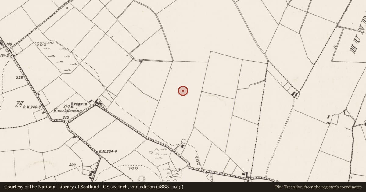 Ordnance Survey six-inch map, 2nd edition (1888–1915) covering the location of Standing stone, Highpark, County Limerick, with a pin at the register's coordinates