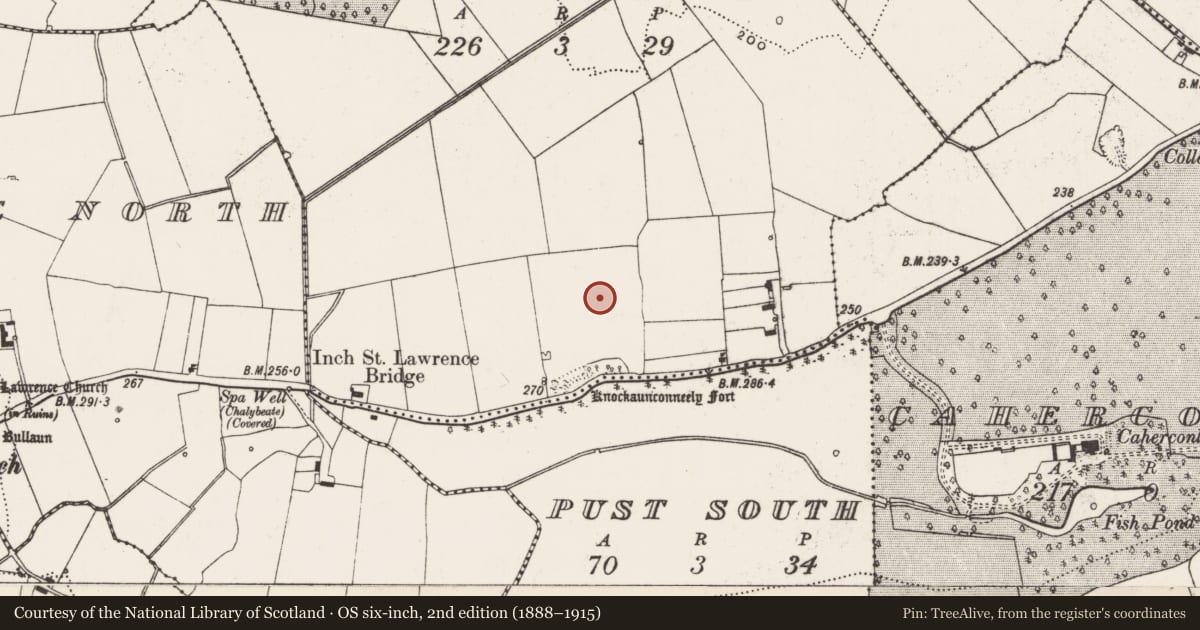 Ordnance Survey six-inch map, 2nd edition (1888–1915) covering the location of Standing stone, Pust North, County Limerick, with a pin at the register's coordinates