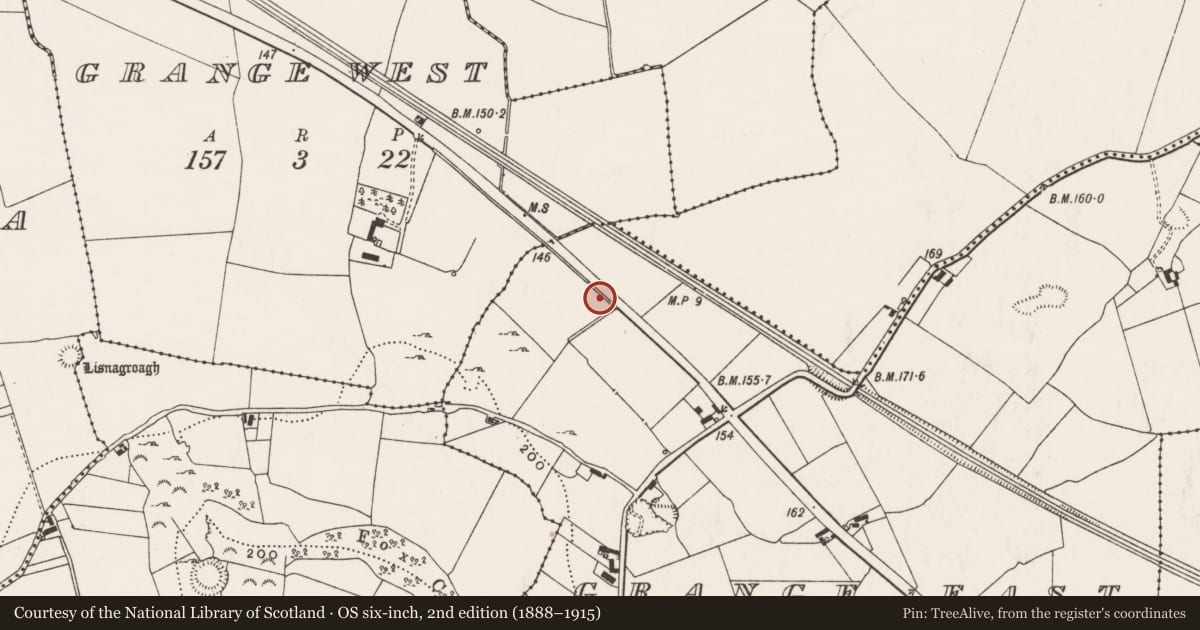 Ordnance Survey six-inch map, 2nd edition (1888–1915) covering the location of Fulacht fia, Grange East, County Limerick, with a pin at the register's coordinates