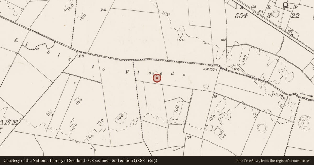 Ordnance Survey six-inch map, 2nd edition (1888–1915) covering the location of Ringfort - rath, Highpark, County Limerick, with a pin at the register's coordinates