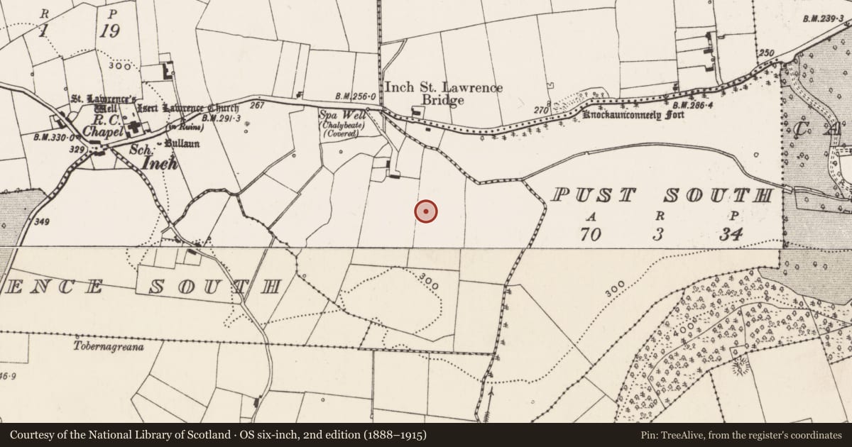Ordnance Survey six-inch map, 2nd edition (1888–1915) covering the location of Standing stone, Inch St. Lawrence, County Limerick, with a pin at the register's coordinates
