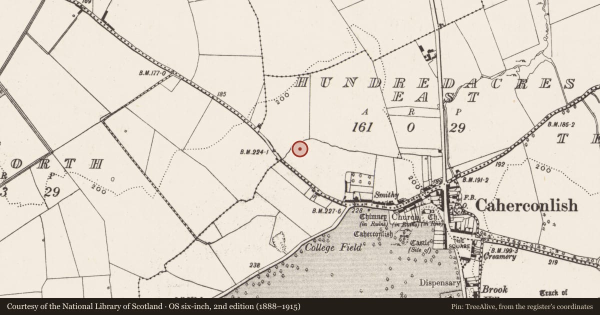 Ordnance Survey six-inch map, 2nd edition (1888–1915) covering the location of Excavation - miscellaneous, Hundredacres East, County Limerick, with a pin at the register's coordinates