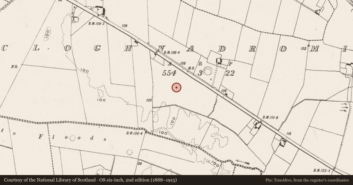 Ordnance Survey six-inch map, 2nd edition (1888–1915) covering the location of Enclosure, Cloghnadromin, County Limerick, with a pin at the register's coordinates
