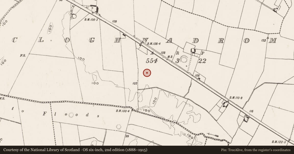 Ordnance Survey six-inch map, 2nd edition (1888–1915) covering the location of Enclosure, Cloghnadromin, County Limerick, with a pin at the register's coordinates