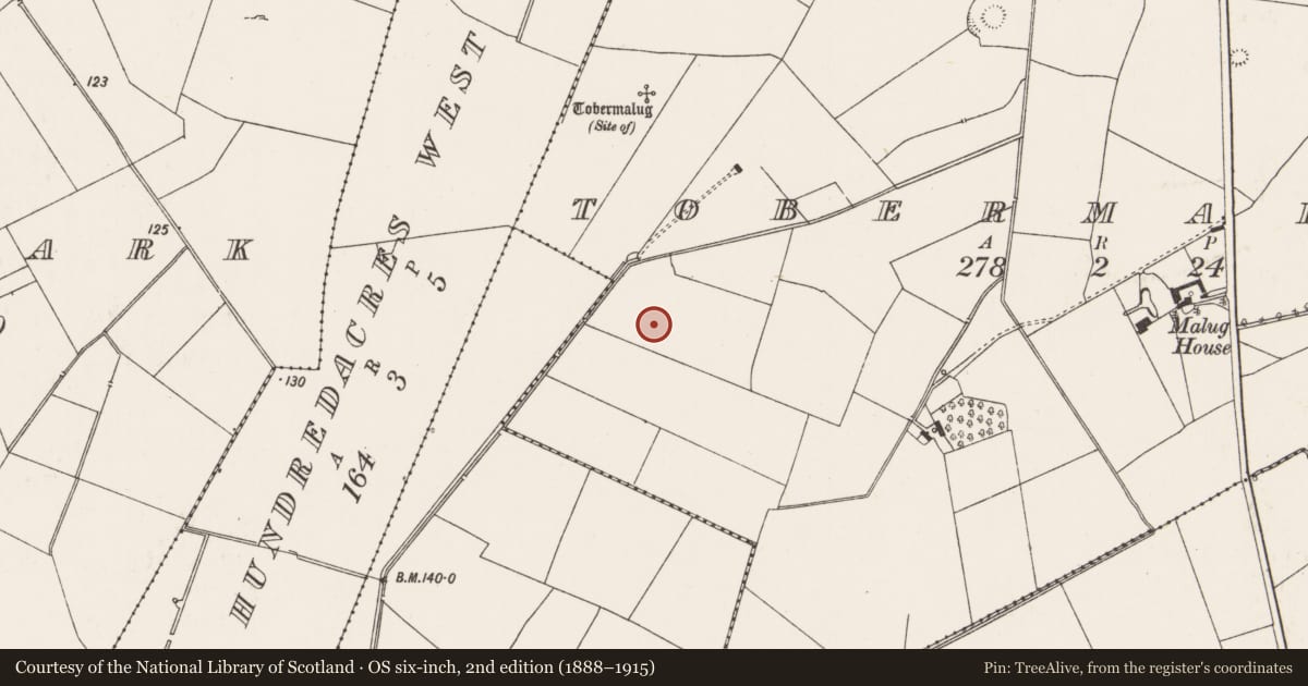 Ordnance Survey six-inch map, 2nd edition (1888–1915) covering the location of Enclosure, Tobermalug, County Limerick, with a pin at the register's coordinates