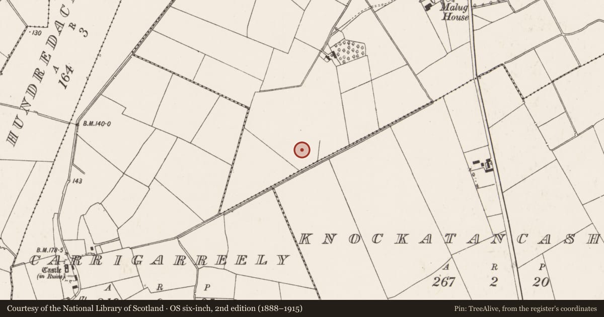 Ordnance Survey six-inch map, 2nd edition (1888–1915) covering the location of Enclosure, Tobermalug, County Limerick, with a pin at the register's coordinates