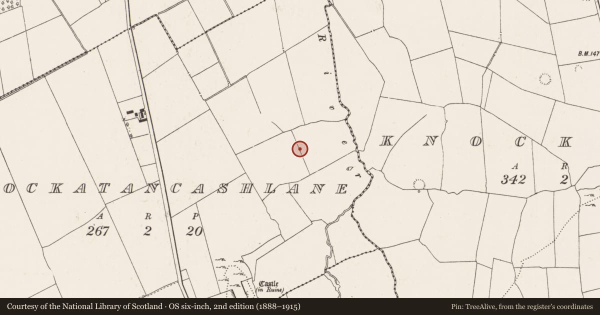 Ordnance Survey six-inch map, 2nd edition (1888–1915) covering the location of Barrow - ring-barrow, Knockatancashlane, County Limerick, with a pin at the register's coordinates