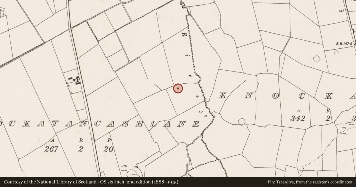 Ordnance Survey six-inch map, 2nd edition (1888–1915) covering the location of Barrow - mound barrow, Knockatancashlane, County Limerick, with a pin at the register's coordinates