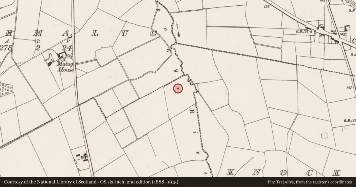 Ordnance Survey six-inch map, 2nd edition (1888–1915) covering the location of Barrow - ring-barrow, Knockatancashlane, County Limerick, with a pin at the register's coordinates