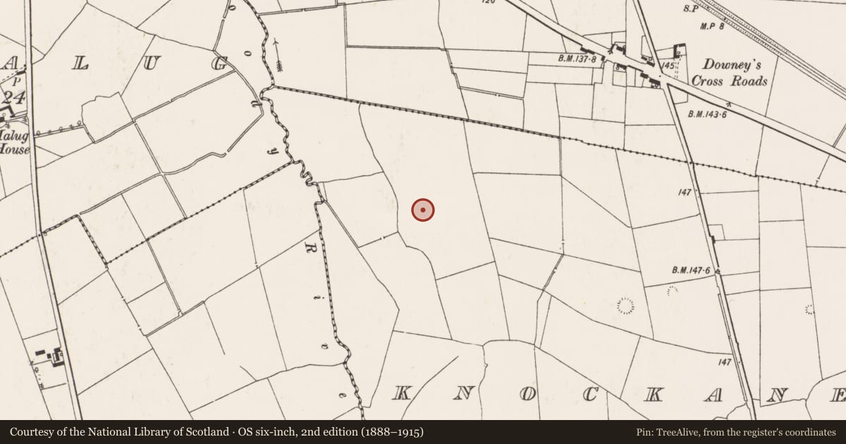 Ordnance Survey six-inch map, 2nd edition (1888–1915) covering the location of Barrow - ring-barrow, Knockanea, County Limerick, with a pin at the register's coordinates