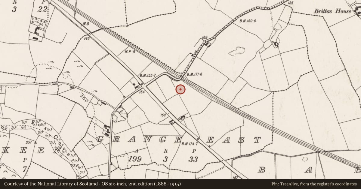 Ordnance Survey six-inch map, 2nd edition (1888–1915) covering the location of Enclosure, Grange East, County Limerick, with a pin at the register's coordinates