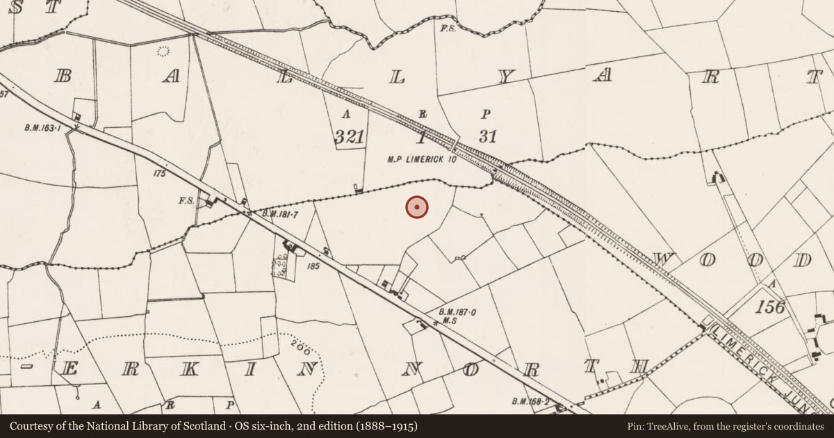 Ordnance Survey six-inch map, 2nd edition (1888–1915) covering the location of Enclosure, Castle-Erkin North, County Limerick, with a pin at the register's coordinates