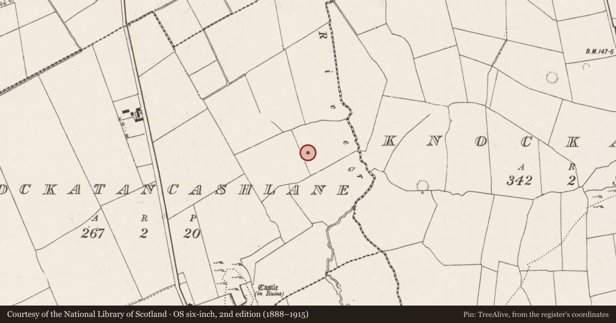 Ordnance Survey six-inch map, 2nd edition (1888–1915) covering the location of Barrow - mound barrow, Knockatancashlane, County Limerick, with a pin at the register's coordinates