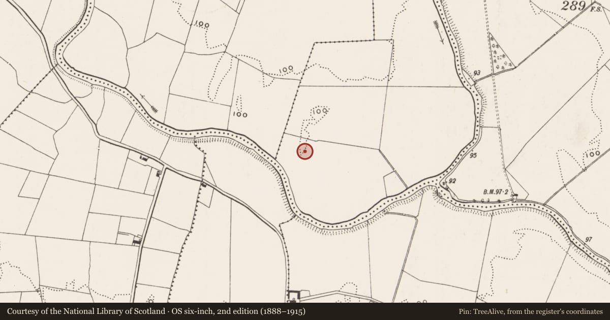 Ordnance Survey six-inch map, 2nd edition (1888–1915) covering the location of Barrow - unclassified, Ballyvarra Wood, County Limerick, with a pin at the register's coordinates
