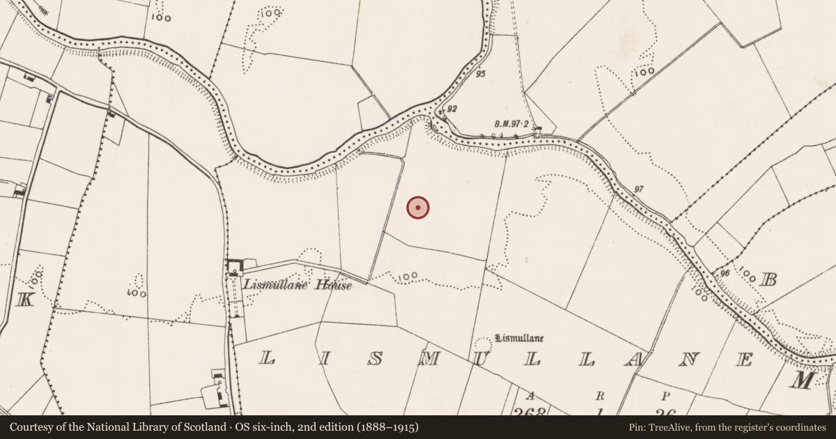 Ordnance Survey six-inch map, 2nd edition (1888–1915) covering the location of Enclosure, Lismullane, County Limerick, with a pin at the register's coordinates