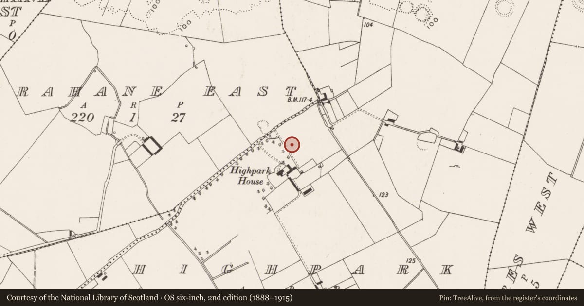 Ordnance Survey six-inch map, 2nd edition (1888–1915) covering the location of Ringfort - rath, Highpark, County Limerick, with a pin at the register's coordinates