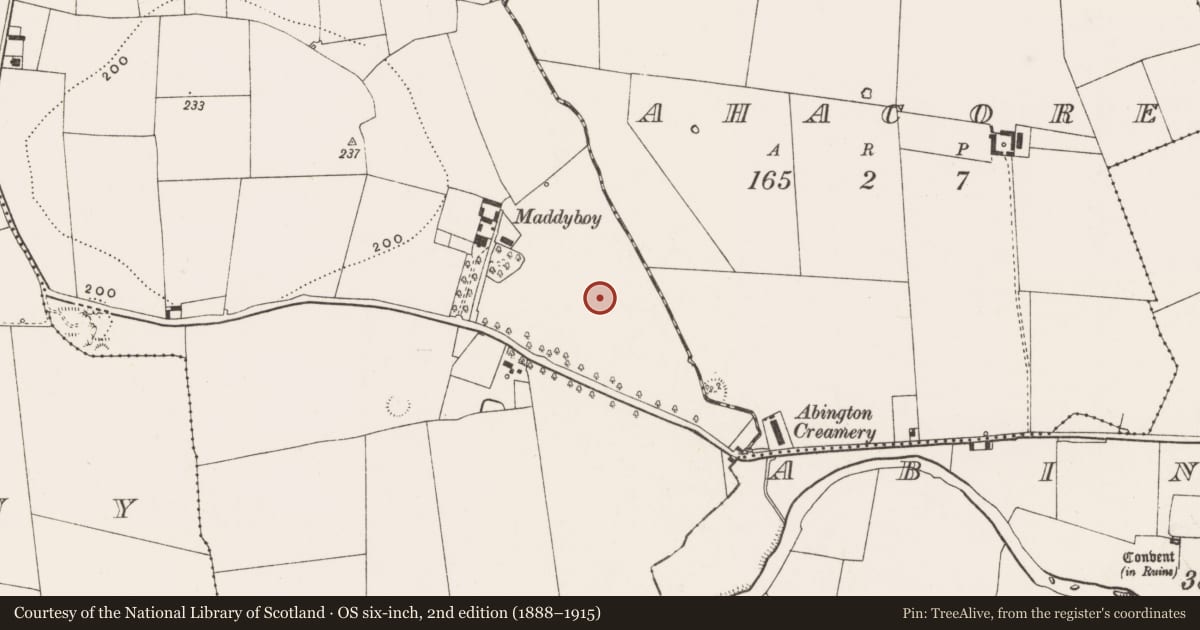 Ordnance Survey six-inch map, 2nd edition (1888–1915) covering the location of Enclosure, Maddyboy, County Limerick, with a pin at the register's coordinates