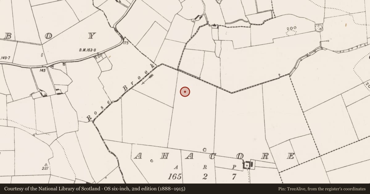 Ordnance Survey six-inch map, 2nd edition (1888–1915) covering the location of Barrow - ditch barrow, Ahacore, County Limerick, with a pin at the register's coordinates