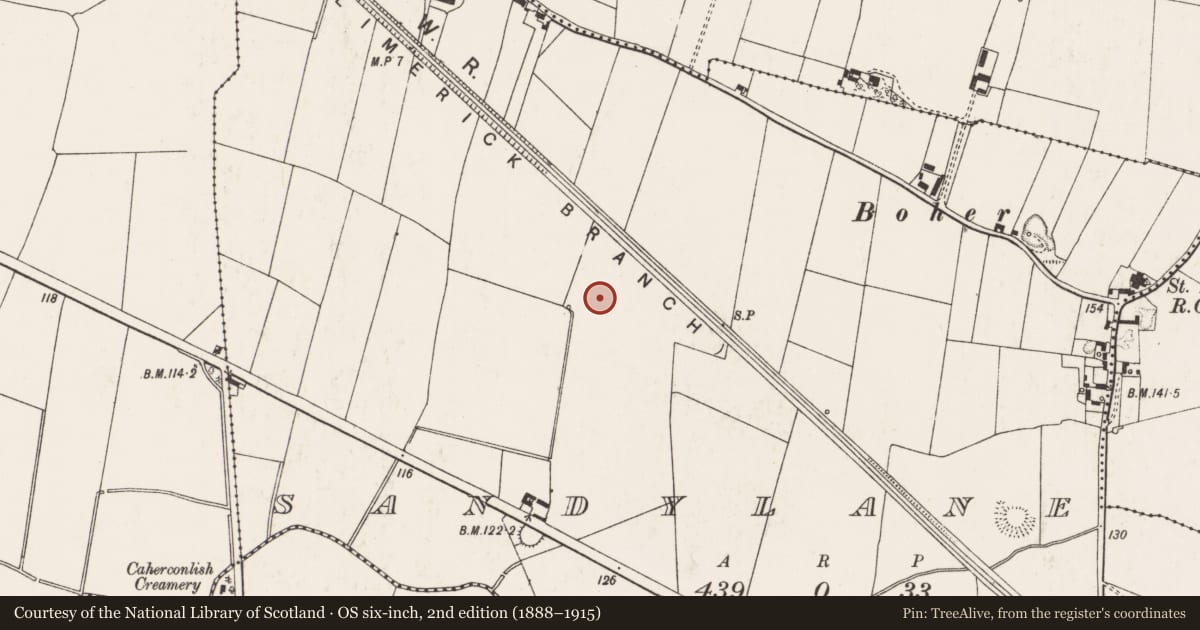 Ordnance Survey six-inch map, 2nd edition (1888–1915) covering the location of Enclosure, Sandylane, County Limerick, with a pin at the register's coordinates