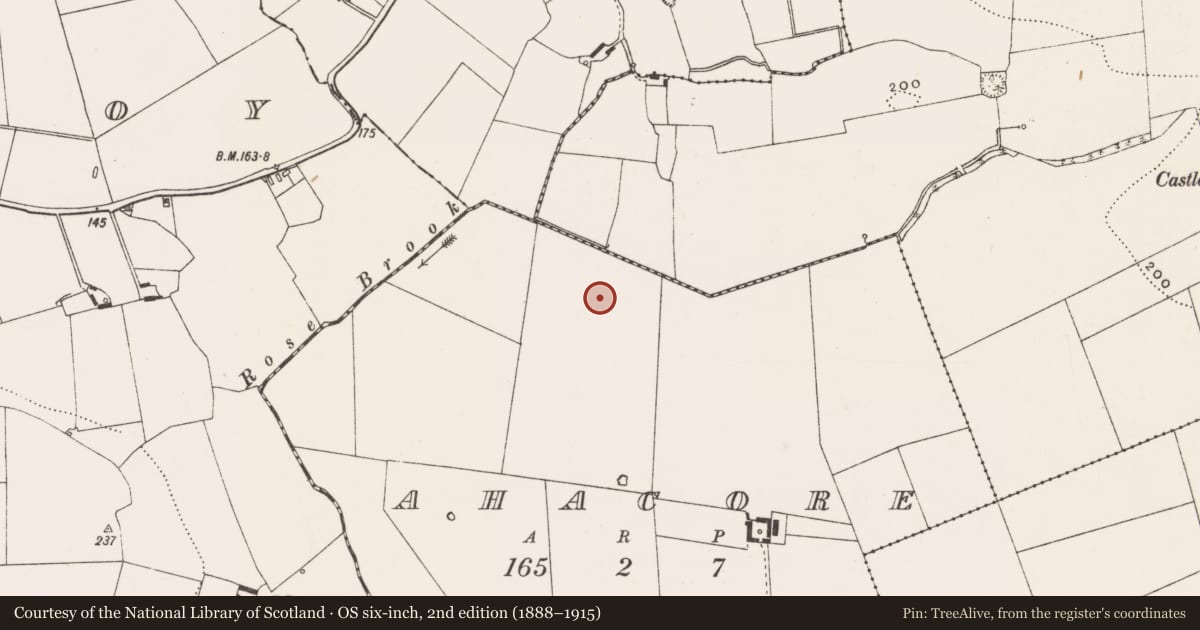 Ordnance Survey six-inch map, 2nd edition (1888–1915) covering the location of Barrow - ditch barrow, Ahacore, County Limerick, with a pin at the register's coordinates