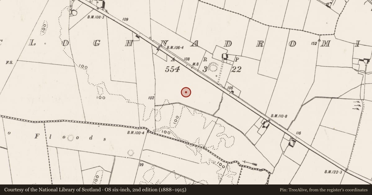 Ordnance Survey six-inch map, 2nd edition (1888–1915) covering the location of Barrow - ditch barrow, Cloghnadromin, County Limerick, with a pin at the register's coordinates
