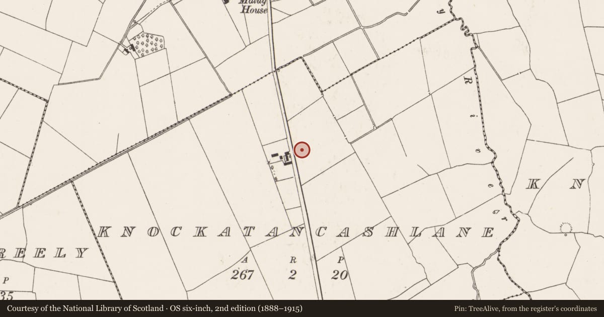 Ordnance Survey six-inch map, 2nd edition (1888–1915) covering the location of Standing stone, Knockatancashlane, County Limerick, with a pin at the register's coordinates