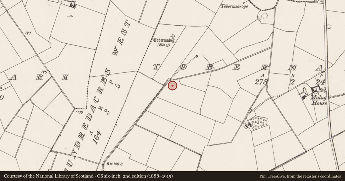 Ordnance Survey six-inch map, 2nd edition (1888–1915) covering the location of Ring-ditch, Tobermalug, County Limerick, with a pin at the register's coordinates