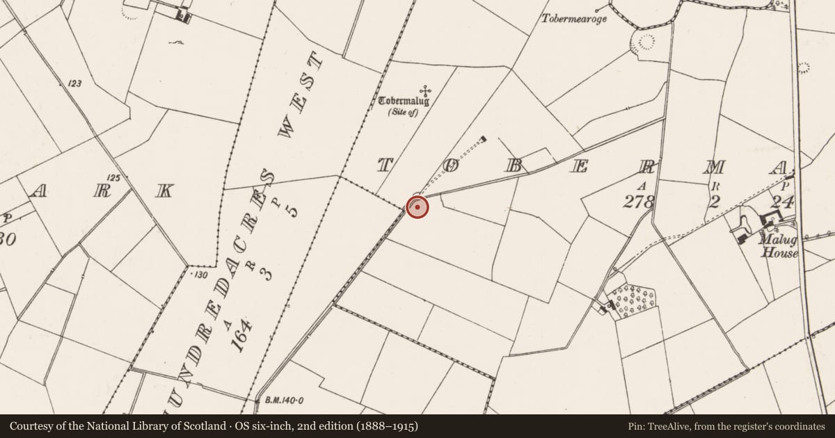 Ordnance Survey six-inch map, 2nd edition (1888–1915) covering the location of Ring-ditch, Tobermalug, County Limerick, with a pin at the register's coordinates