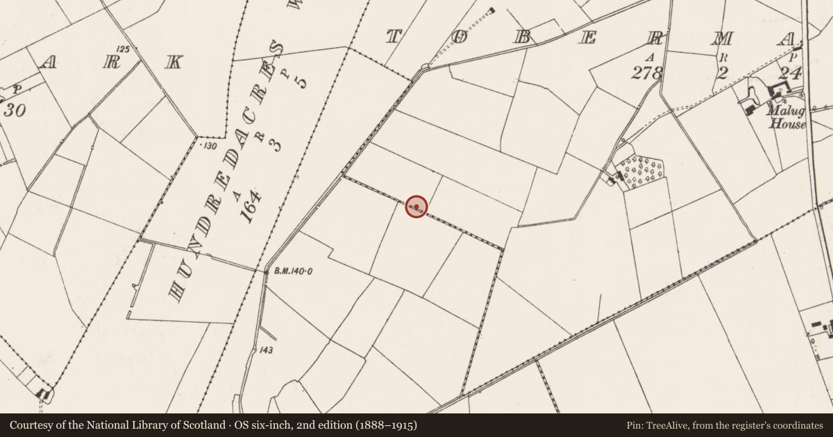 Ordnance Survey six-inch map, 2nd edition (1888–1915) covering the location of Ring-ditch, Tobermalug, County Limerick, with a pin at the register's coordinates