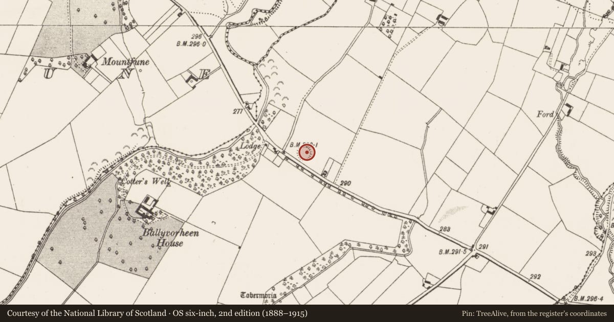 Ordnance Survey six-inch map, 2nd edition (1888–1915) covering the location of Ringfort - rath, Ballyvorheen, County Limerick, with a pin at the register's coordinates