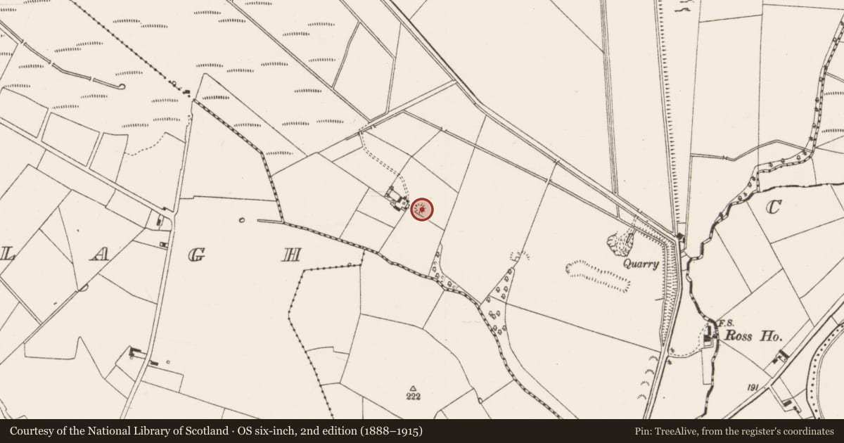 Ordnance Survey six-inch map, 2nd edition (1888–1915) covering the location of Ringfort - rath, Portnard, County Limerick, with a pin at the register's coordinates