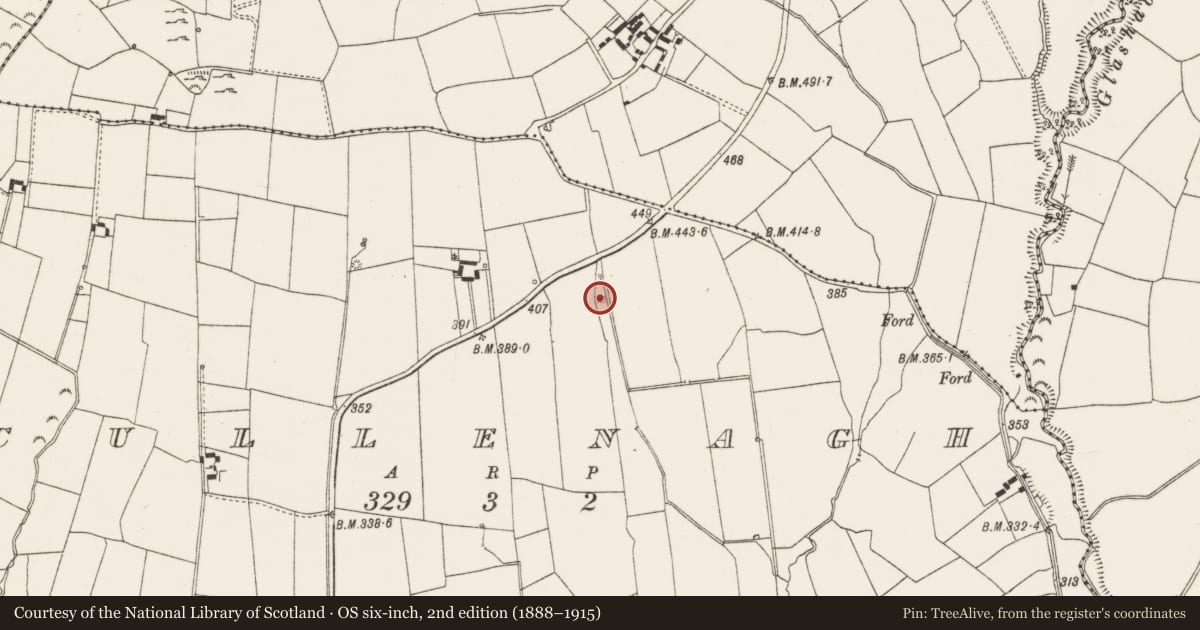 Ordnance Survey six-inch map, 2nd edition (1888–1915) covering the location of Fulacht fia, Cullenagh, County Limerick, with a pin at the register's coordinates