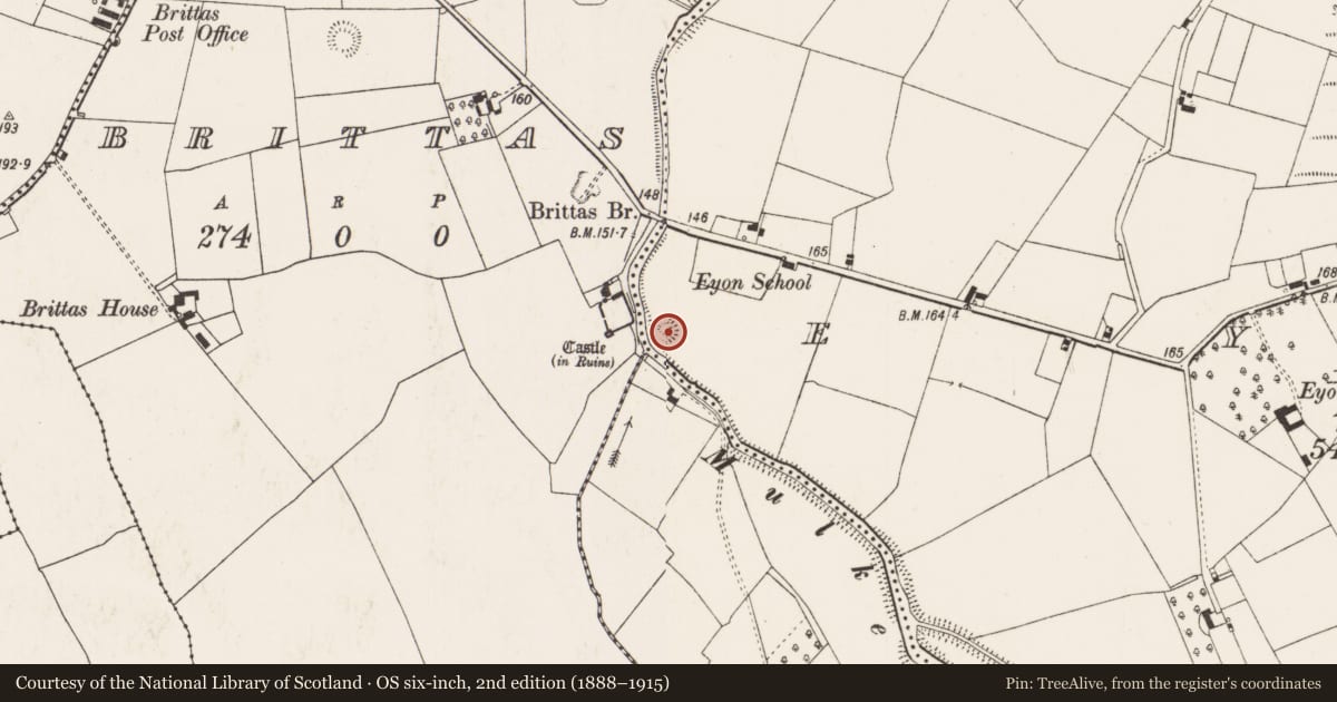 Ordnance Survey six-inch map, 2nd edition (1888–1915) covering the location of Ringfort - rath, Eyon, County Limerick, with a pin at the register's coordinates