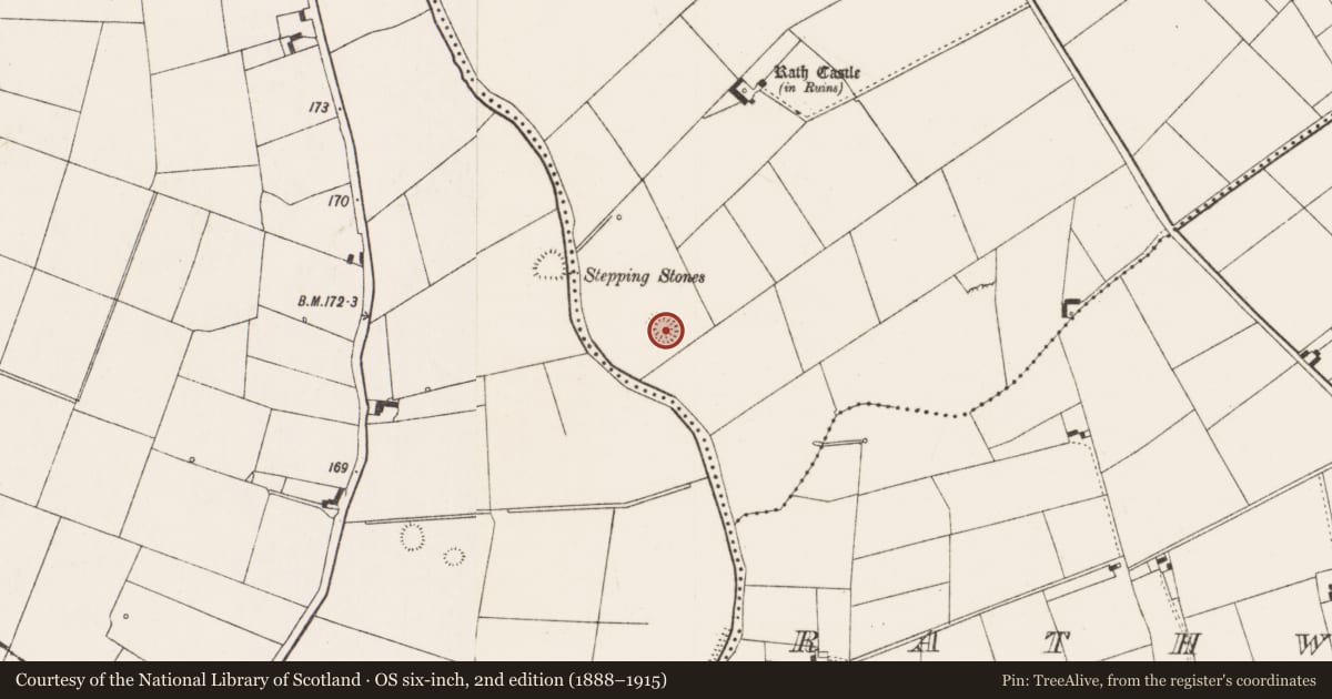 Ordnance Survey six-inch map, 2nd edition (1888–1915) covering the location of Ringfort - rath, County Limerick, with a pin at the register's coordinates
