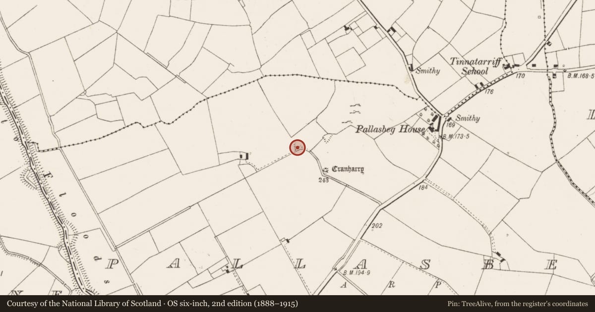 Ordnance Survey six-inch map, 2nd edition (1888–1915) covering the location of Mound, Pallasbeg, County Limerick, with a pin at the register's coordinates