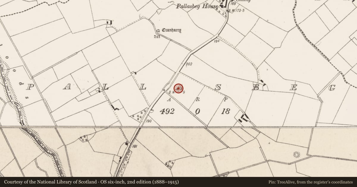 Ordnance Survey six-inch map, 2nd edition (1888–1915) covering the location of Mound, Pallasbeg, County Limerick, with a pin at the register's coordinates