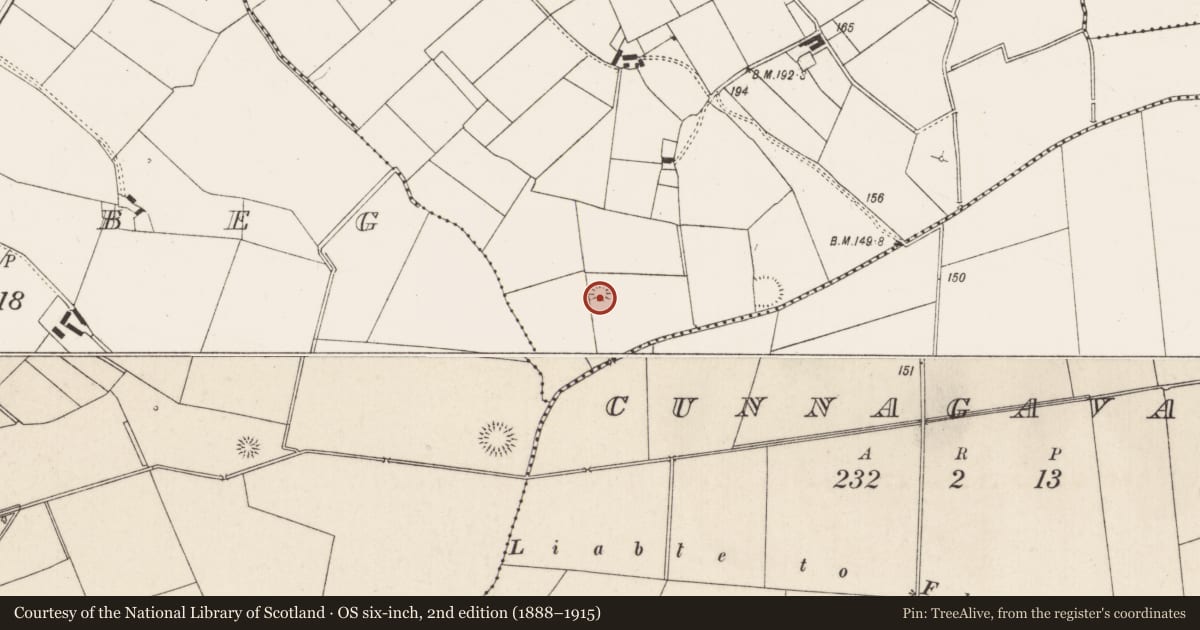 Ordnance Survey six-inch map, 2nd edition (1888–1915) covering the location of Ringfort - rath, Dromalta, County Limerick, with a pin at the register's coordinates