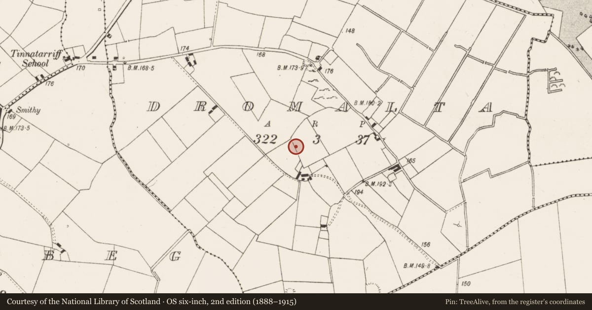 Ordnance Survey six-inch map, 2nd edition (1888–1915) covering the location of Ringfort - rath, Dromalta, County Limerick, with a pin at the register's coordinates