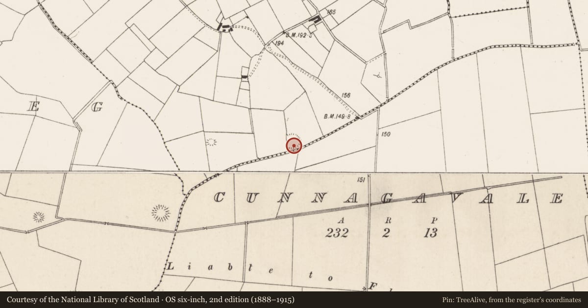 Ordnance Survey six-inch map, 2nd edition (1888–1915) covering the location of Ringfort - rath, Dromalta, County Limerick, with a pin at the register's coordinates