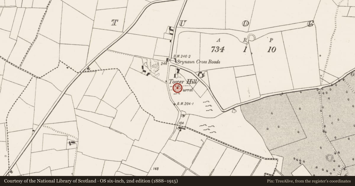 Ordnance Survey six-inch map, 2nd edition (1888–1915) covering the location of Designed landscape - folly, Tuogh, County Limerick, with a pin at the register's coordinates